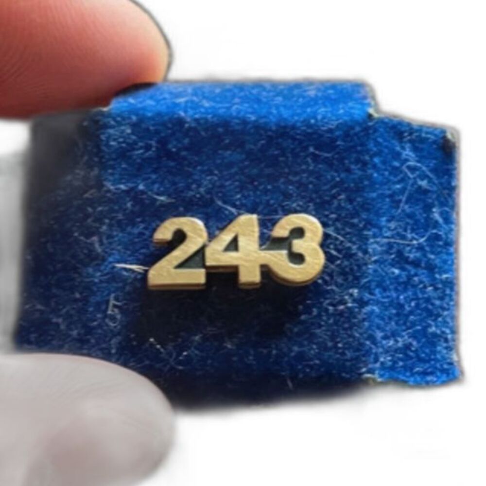 Vtg Group 243 pin Ann Arbor Advertising Agency Dominos Noid